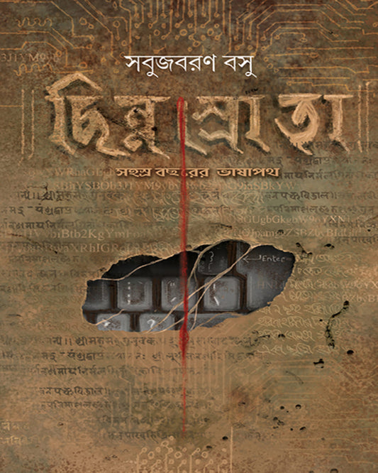 Chhinnosrota by Sabujbaran Basu [Hardcover]